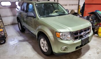 2008 FORD ESCAPE XLT ALL WHEEL DRIVE full